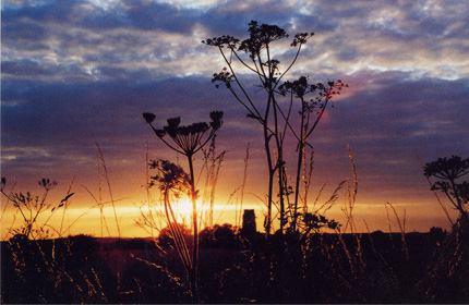 Erpingham Sunset