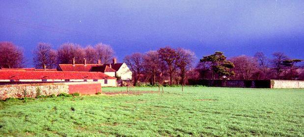 Langham Light